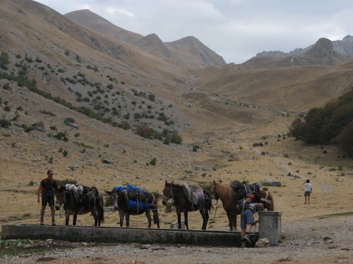 trekking con i muli-210.jpg